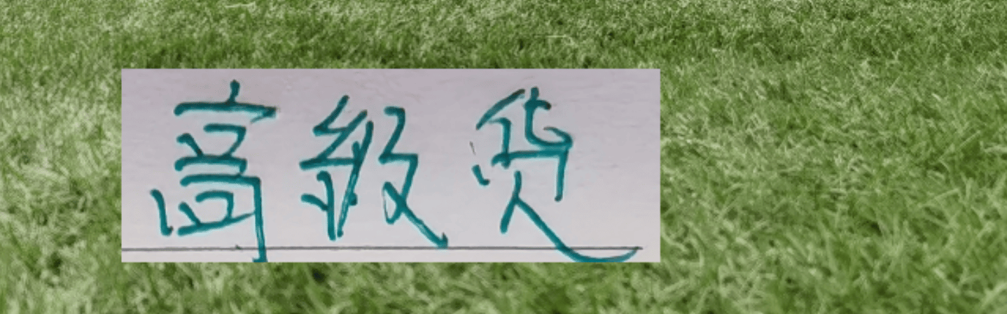 北京国安也淘到高级货 从去年日本联赛达万 再到德甲后卫拉莫斯